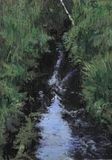 The little creek/Den lilla bäcken